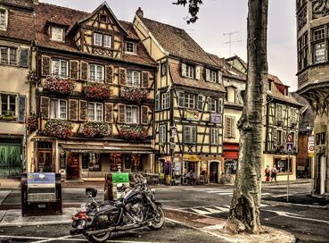 İzmir Çıkışlı Alsace Colmar Noel Pazarları Turu